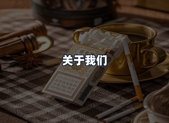 关于我们